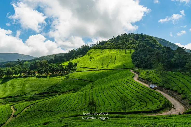 Munnar Trip from Bangalore